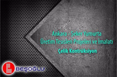 Ankara - Şeker Yumurta Üretim Tesisleri Projeleri ve İmalatı
