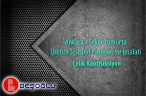 Ankara - Şeker Yumurta Üretim Tesisleri Projeleri ve İmalatı