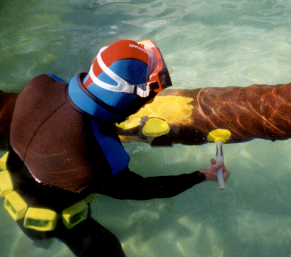 Su Altı Kaplama Kontrolü: Boya ve Koruyucu Katman Muayenesi